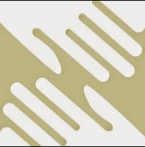 Darlinghurst Physiotherapy Logo