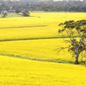 Wheatbelt Health Network Northam