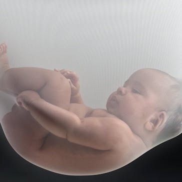 Coyle Obstetrics & Gynaecology Specialist Services