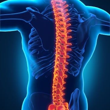 Bay Road Chiropractic & Sports Therapy Centre